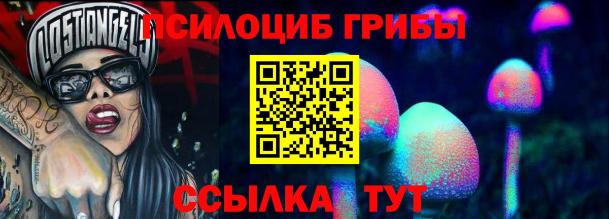 Псилоцибиновые грибы GOLDEN TEACHER Арзамас