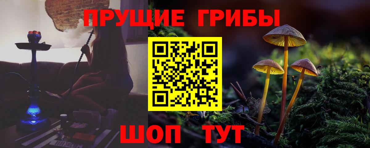 Галлюциногенные грибы MAGIC MUSHROOMS  Вход с VPN  Галлюциногенные грибы Psilocybe  Арзамас 