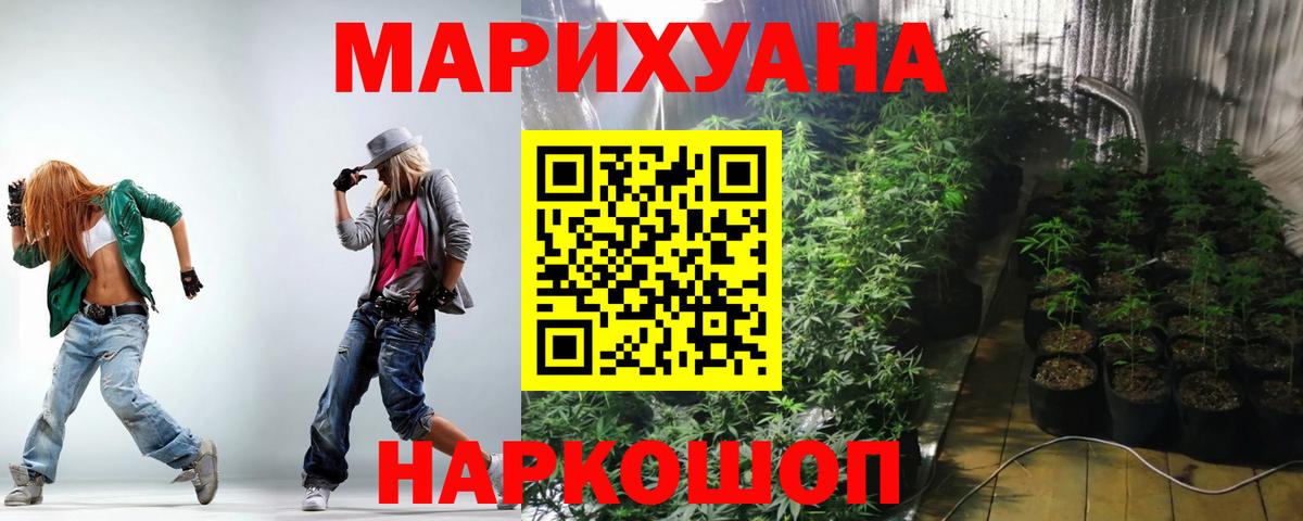 Конопля гибрид Арзамас